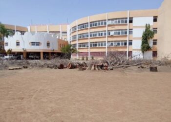 Gwamnatin Kano Ta Dakatar Da Sare Bishiyoyi A Harabar Gidan Talabijin Na Jihar