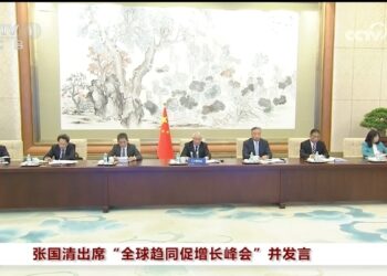 Zhang Guoqing Ya Gabatar Da Jawabi Ga Taron Koli Na “Hadin Kai Don Bunkasa Tattalin Arzikin Duniya”