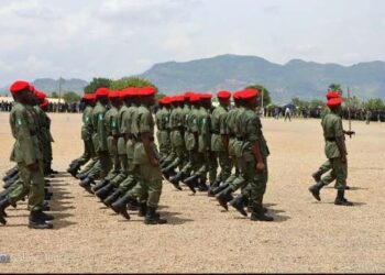 ISWAP An Ƙaddamar Da Dakarun Tsaron Daji 2,187 A Bauchi