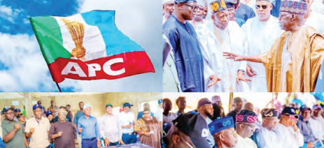 APC APC
