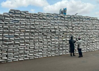 Gwamna Uba Sani Ya Ƙaddamar Da Rabon Taki Kyauta Ga Manoma 150,000 A Kaduna