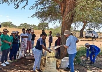Kasar Sin Ta Shirya Wa Jami’an Kula Da Yankunan Karkarar Afrika Horon Dabarun Yaki Da Talauci