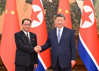 Shugaba Xi Ya Gana Da Firaministan Koriya Ta Arewa A Beijing