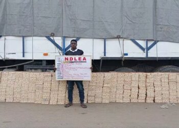 Kofin Duniya NDLEA Ta Cafke Kwayoyin Tramadol Miliyan 1.63 Da Akai Nufin Shigar Da Su Kano