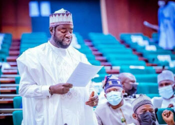 ‘Yan Adawa Sun Mayar Da Matsalar Tsaro Siyasa – Yusuf Gagdi