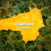 ‘Yan Bindiga Sun Hallaka Manoma Sama Da 20 A Zamfara – Amnesty International