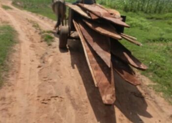 Sojoji Sun Kama Kwale-kwale Uku Da Aka Shirya Kai Wa Shugaban ’Yan Ta’adda A Zamfara