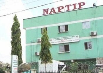 Mutum 7 Na Fuskantar Shari’a Kan Safarar Jarirai A Jihar Gombe —NAPTIP