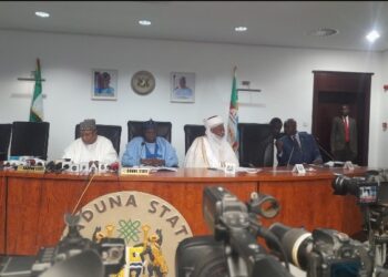 Shin Gwamnonin Arewa Sun Jawo Wa Kansu Asarar Naira Biliyan 228?