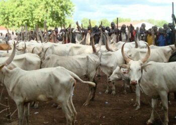 An Gurfanar Da Makiyaya 2 Kan Kiwo Ba Bisa Ƙa’ida Ba A Ekiti