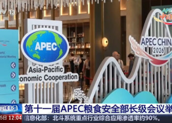 An Gudanar Da Taron Ministocin Noma Kan Samar Da Isashen Abinci Na APEC Karo Na 11