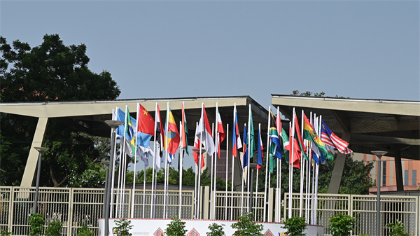 BRICS BRICS