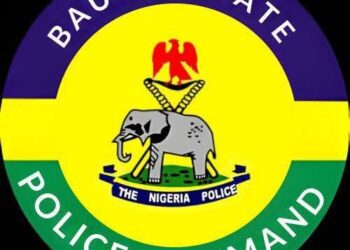 Yaro Ya Harbe Kansa Har Lahira Bayan Mafarauci Ya Yi Sakaci Da Bindigarsa A Bauchi