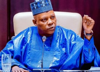 Shettima Ya Yi Karin Haske Kan Maganar Gwamnonin Arewa 6
