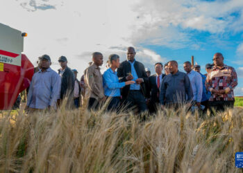 Shugaban Mozambique Ya Bayyana Fatan Kara Karfafa Hadin Gwiwa Da Sin A Bangaren Aikin Gona