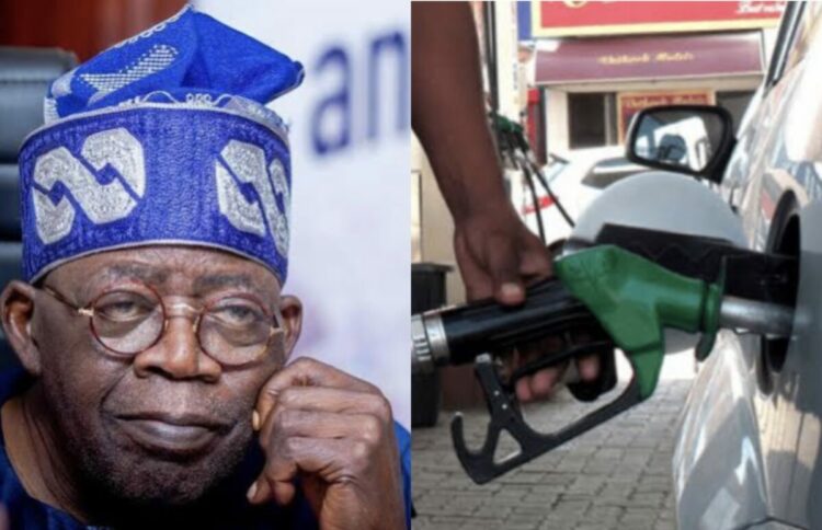 Tinubu Screenshot
