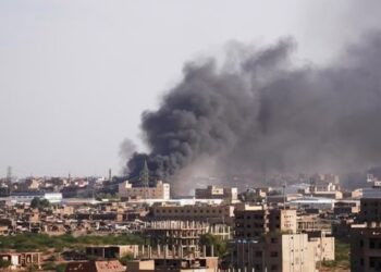 Nagoya Sin Ta Jaddada Muhimmancin Tsarin Da Afirka Ke Jagoranta Wajen Cimma Mafita Ta Siyasa Ga Rikicin Sudan