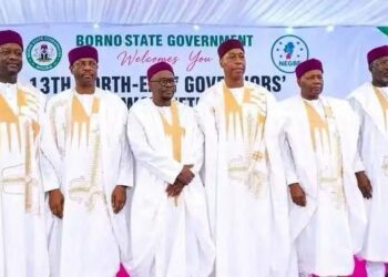 Gwamnonin Arewa Maso Gabas Sun Buƙaci Tinubu Ya Farfaɗo da Binciken Man Fetur A Borno