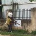Ƴansanda Sun Cafke Mutane 5 Kan Zargin Ɓata Fastocin Tinubu A Kano