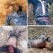 ’Yansanda Sun Kashe ’Yan Bindiga Sama Da 30 Tare Da Daƙile Hari A Zamfara