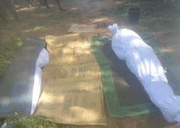 Gwamnatin Tarayya Adadin Waɗanda Aka Kashe A Harin Ƴan Bindiga Ya Kai 50 A Taraba