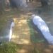 Adadin Waɗanda Aka Kashe A Harin Ƴan Bindiga Ya Kai 50  A Taraba