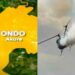 Hatsarin Jirgi Mai Saukar Ungulu Yayi Sanadin Mutuwar Mutane Da Dama A Ondo