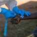 Gwamnatin Tarayya Ta Umarci Hukumomi Su Ƙarfafa Wayar Da Kai Kan Cutar Ebola