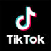 An Tsare Ɗan TikTok Kan Zargin Ɓata Sunan Jami’an KAROTA