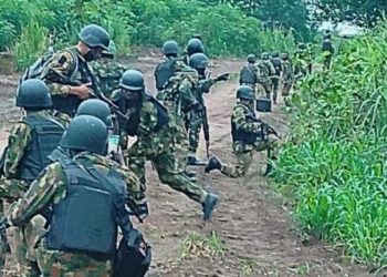 Sojoji Sun Hallaka Ƴan Ta’adda 6, Sun Kama Mutane 11 Da Ake Zargin Haɗin Kai Da Su