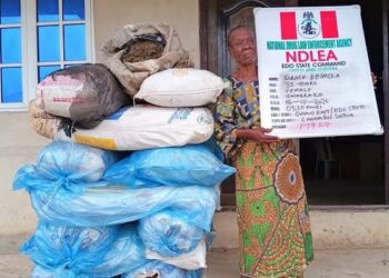 NDLEA Ta Ƙwace Ƙwayar Da Ta Kai Biliyan 6.98, Ta Cafke Tsohuwa Mai Shekaru 85