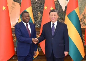 Xi Ya Gabatar Da Ka’idoji 4 Kan Yadda Bangarori Daban-Daban Za Su Shiga Cikin Aikin Warware Manyan Matsalolin Afrika